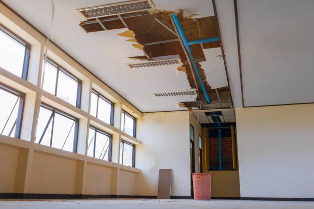 Carpet water damage restoration in Littlefield, TX