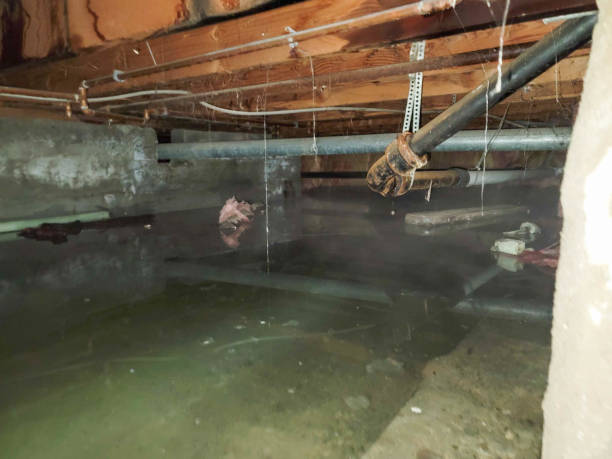 Best Sewage cleanup and water damage restoration  in Littlefield, TX