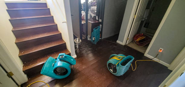Best Water damage restoration experts  in Littlefield, TX