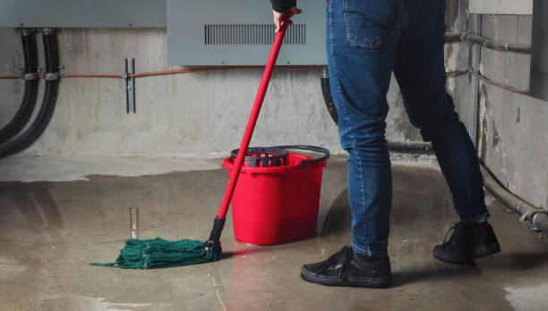 Best Water damage restoration services  in Littlefield, TX