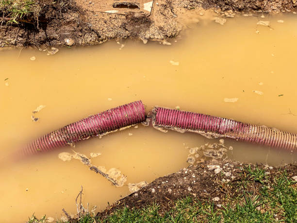 Best Emergency water damage restoration  in Littlefield, TX
